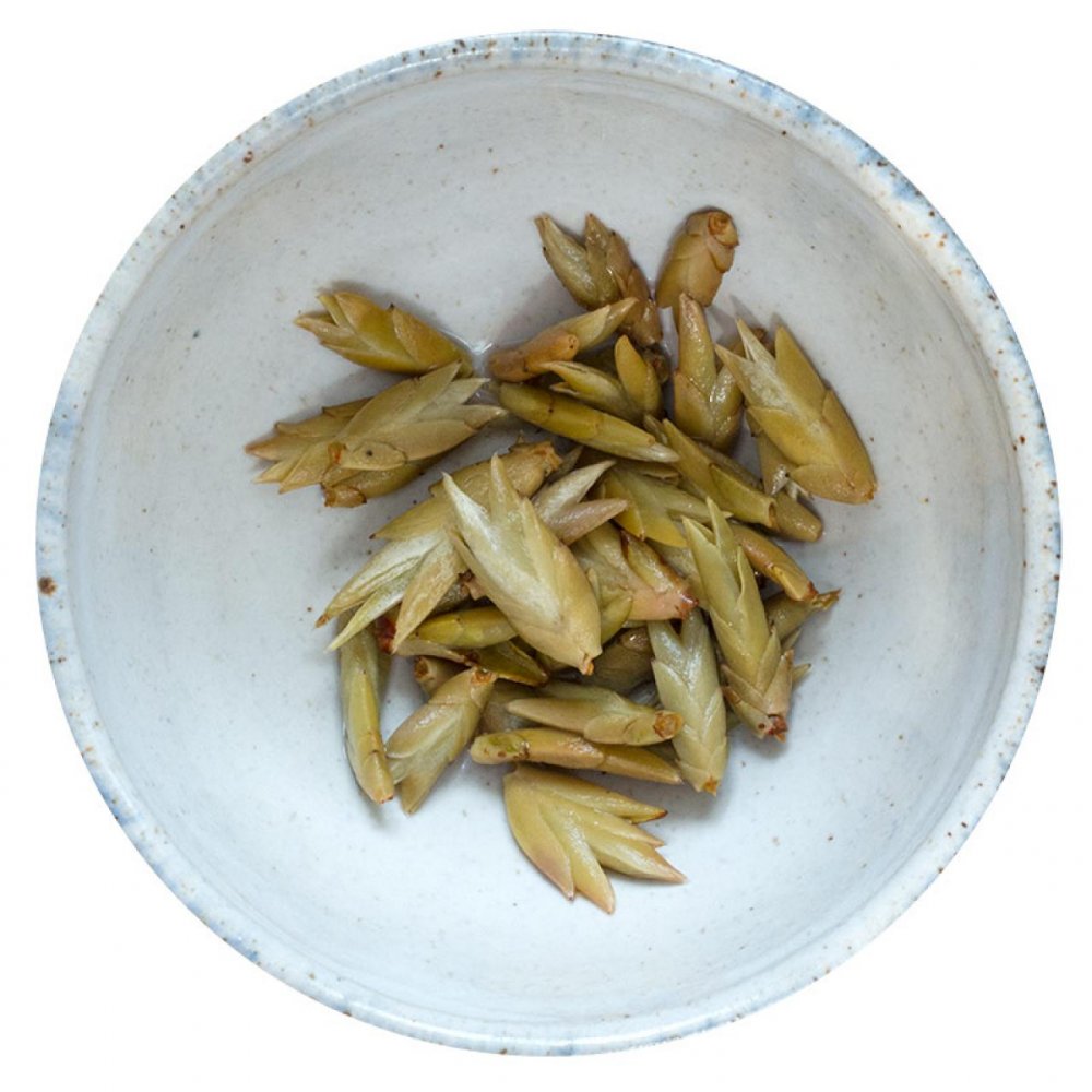 Na slunci sušené pupeny čaje Puer ze starých stromů | Pu Er Bai Ya Bao